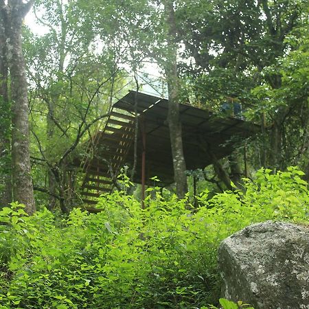 Secret Valley Jungle Resort Utakamand Zewnętrze zdjęcie