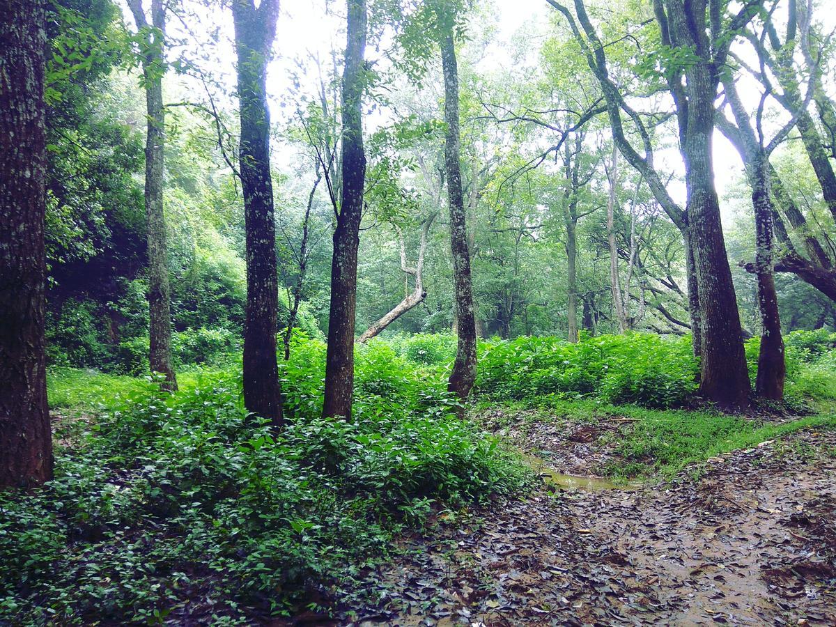 Secret Valley Jungle Resort Utakamand Zewnętrze zdjęcie