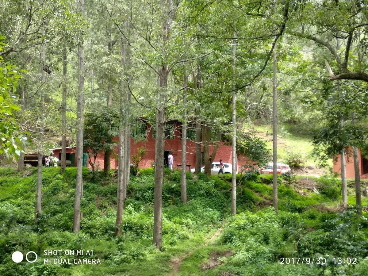Secret Valley Jungle Resort Utakamand Zewnętrze zdjęcie
