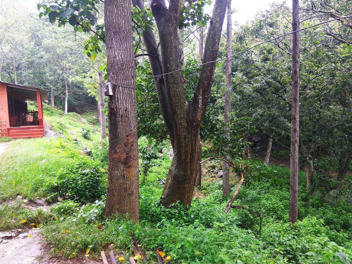 Secret Valley Jungle Resort Utakamand Zewnętrze zdjęcie