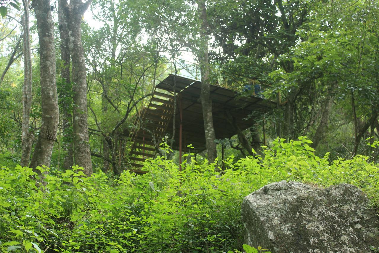 Secret Valley Jungle Resort Utakamand Zewnętrze zdjęcie