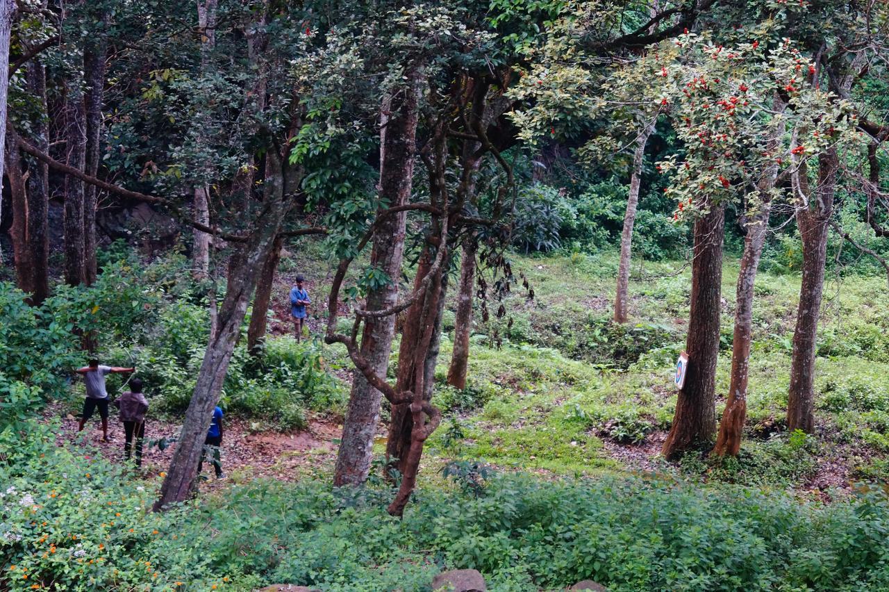 Secret Valley Jungle Resort Utakamand Zewnętrze zdjęcie